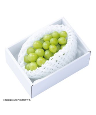 iwataya_25chu_700753