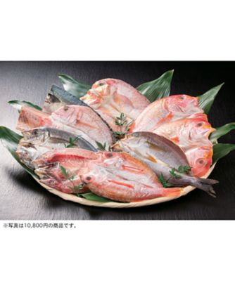 iwataya_25chu_748063