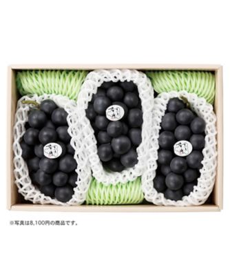 iwataya_26chu_700283