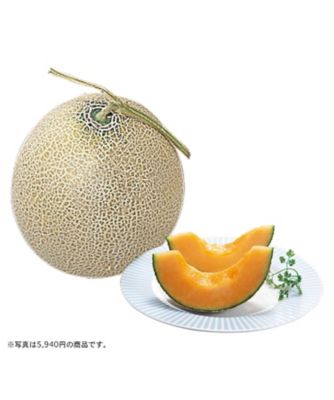 iwataya_26chu_700343