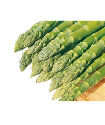 marui_as2020_3Limagean_01