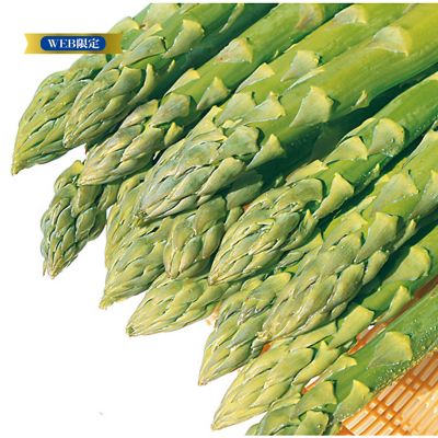 ｗｅｂ限定 ２５ 旭川市 野中農園 グリーンアスパラガス 冷鮮 グリーン ３ｌ １ｋｇ ４月中旬より受付順に発送 アスパラ の通販 丸井今井オンラインストア