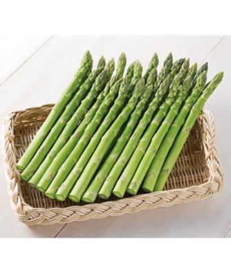 marui_as2020_854013an_01