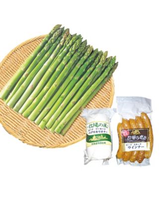 marui_as2020_854103an_01