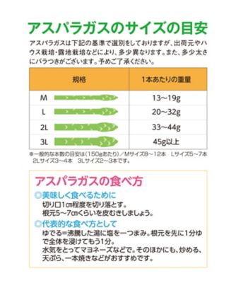 ２３ ハウス栽培 旭川市 野中農園 グリーンアスパラガス 冷鮮 グリーン ｌ １ｋｇ ４月中旬より受付順に発送 アスパラ の通販 丸井今井オンラインストア