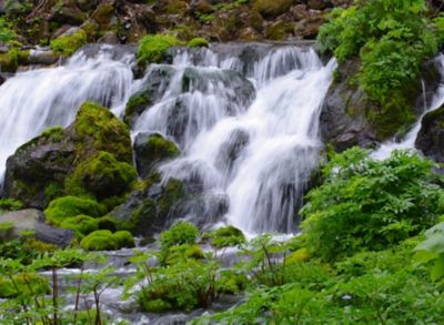 ★【産直】４本セット特濃アイス珈琲・水出し珈琲（北海道名水珈琲）