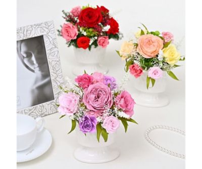 palaisflora_2026_12000_1