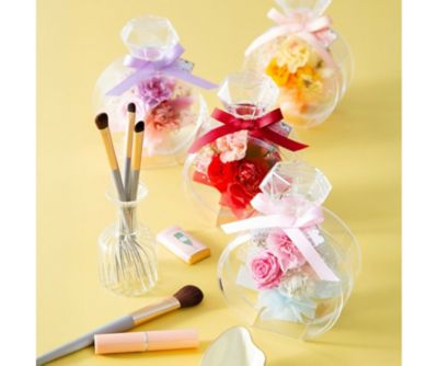 palaisflora_2026_6000_1