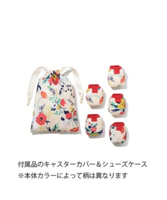 Ｂマイン　０５７４５　機内持ち込みサイズ
