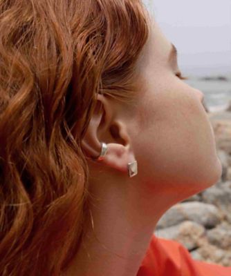 ｅｌｆ　ｐｉｅｒｃｅ　ＳＶ