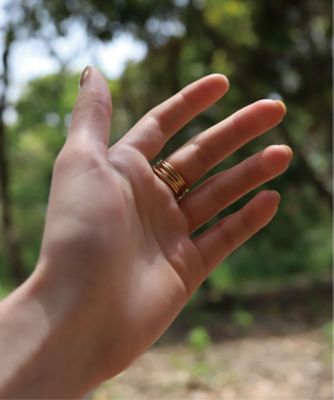 ｂｉｌｌｏｗ　ｒｉｎｇ　ＧＤ