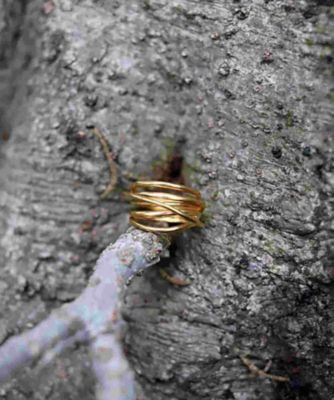 ｂｉｌｌｏｗ　ｒｉｎｇ　ＧＤ