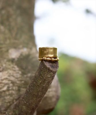 ｂｒｉｏ　ｒｉｎｇ　ＧＤ