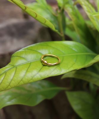 ｔｉｎｙ　ｒｉｎｇ　ＧＤ