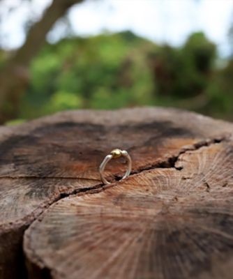ｔｉｎｙ　ｒｉｎｇ　ＭＩＸ