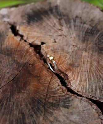 ｔｉｎｙ　ｒｉｎｇ　ＭＩＸ