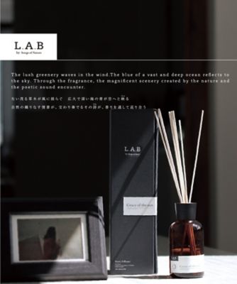 ｌ ａ ｂ エルエービー リードディフューザー Art Lab ソングスオブネイチャー ａｒｔ ｌａｂ ソングスオブネイチャー インテリア雑貨 の通販 伊勢丹オンラインストア