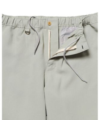 ソテツ　幹幅20センチ❗　① 2026年最新】斑 ソテツの人気アイテム - メルカリ