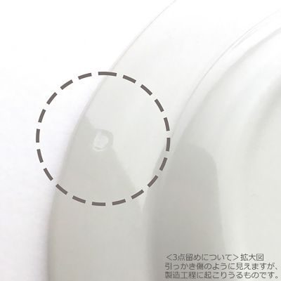 ブルーアジアティックフェザンツ　プレート１７．５ｃｍ